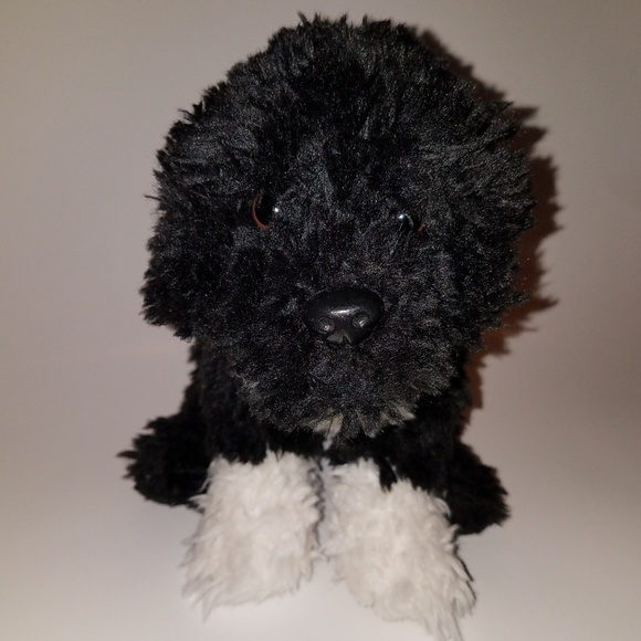 webkinz portuguese water dog